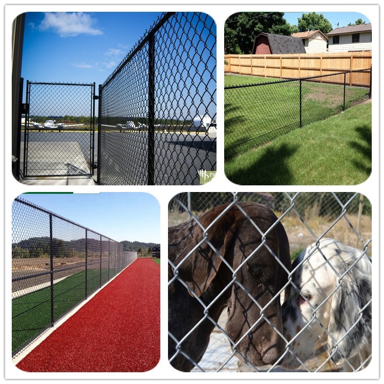 High Quality Chain Link Fence