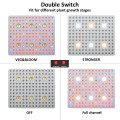 Best Led Grow Light für 3 * 3 Grow Tent