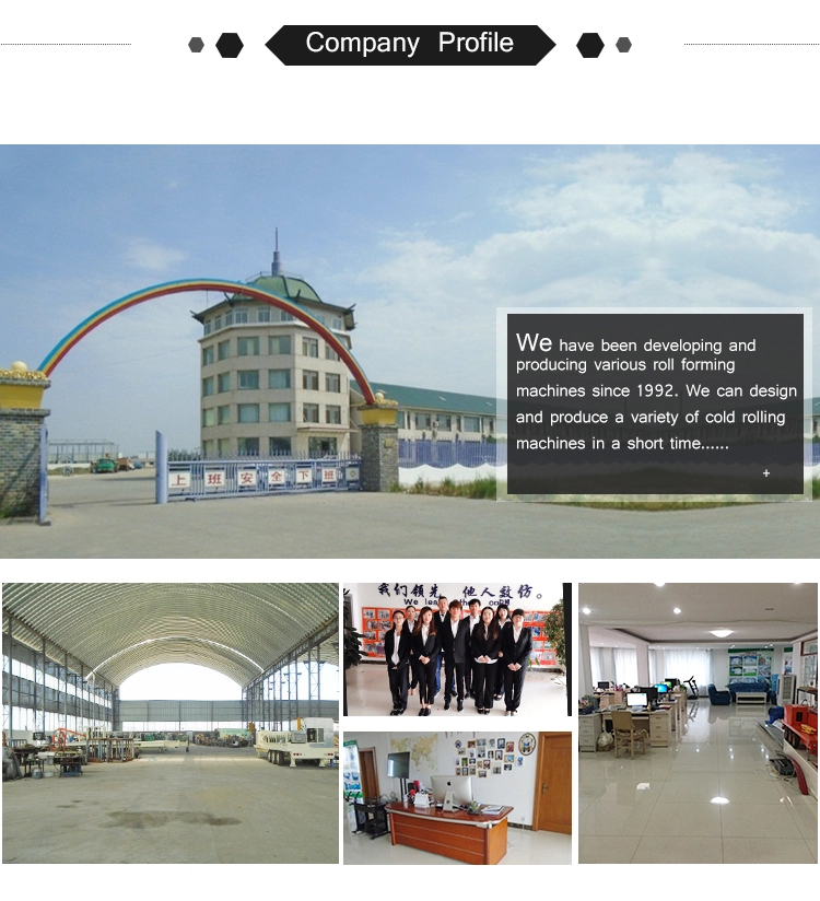 Arch roof tile forming machine/roof tile roll forming machine/curving roof building machine