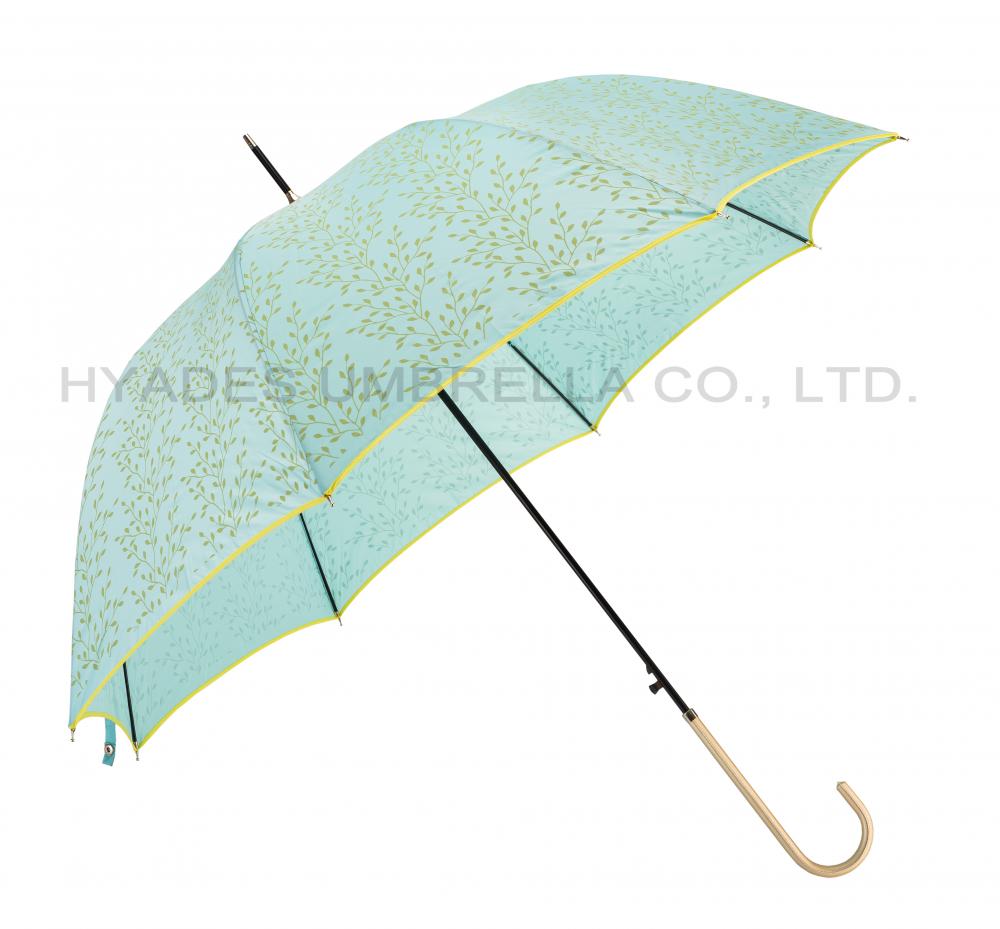 Stylish Auto Open Hook Handle Dome Umbrella