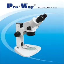 Zoom Binocular Stereo Microscope