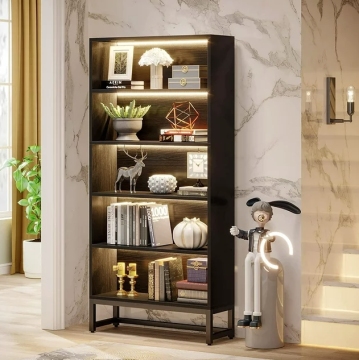 Book shelves with lights