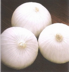 White Onion