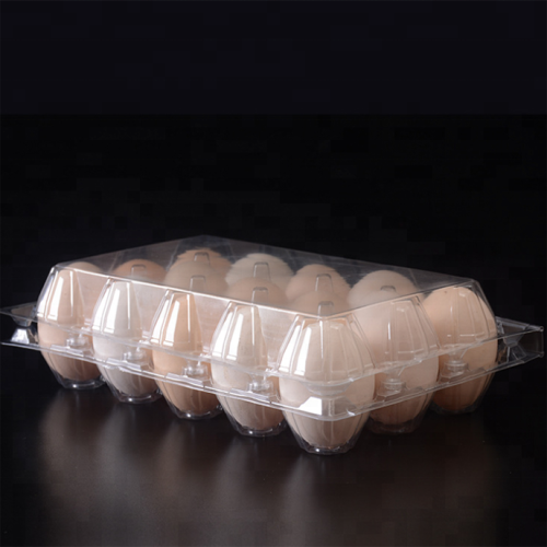 Lembar Transparan PVC untuk nampan telur