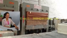 500Ton pre-press machine/