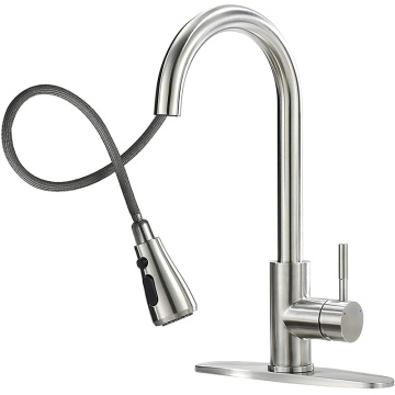 Discount Single Handle Kitchen Sink Faucet With Sprayer