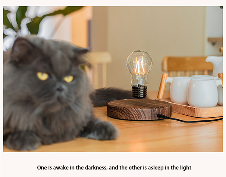 New product Bottom base magnetic rotating and levitating floating lighting bulb for table desk lamp