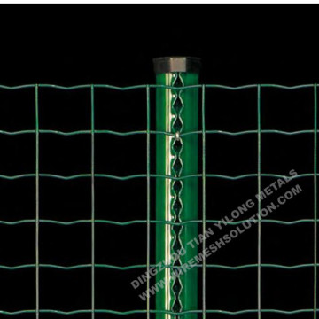 Green Coated Welded Holland Wire Mesh