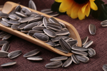 cheap sunflower seeds 5009 3638
