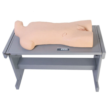 DARHMMY Medical Science Training Model: Simulated Standardized Patient for Liver Abscess Puncture and Thoracentesis Mannequin