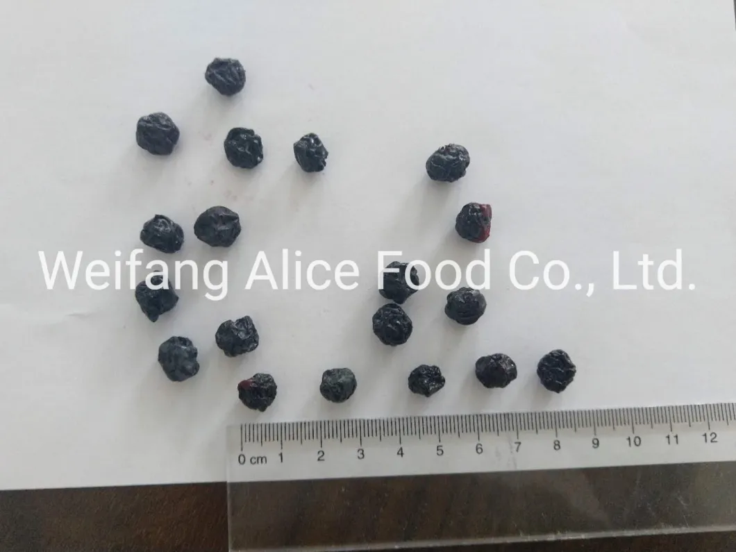 Chinese Dried Fruit Wholesale Dried Blueberry