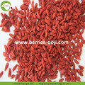 Pasokan Pabrik Buah Sun Kering Alam Goji Berry