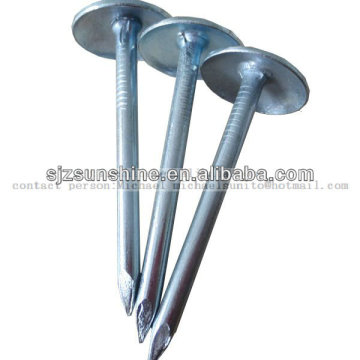 Roofing nails/Galvanized roofing nails/Roofing nails factory