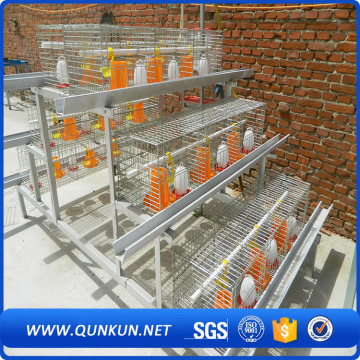 Automatic Pullet Broiler Chicken Cage