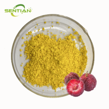 Organic Plant-Derived Myricetin for Nutraceutical Use