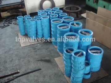 dual disc check valve