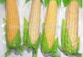 Macchina di produzione automatica di produzione di conservazione del mais fresco