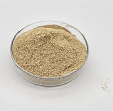 Bio Bacteria Powder for Reliable Water Treatment