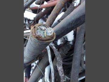 diablo wire stripping machine