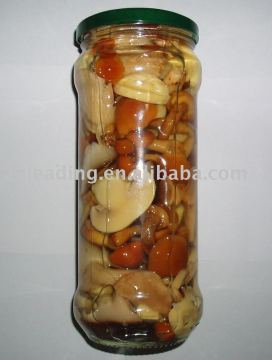 Canned Mixed Mushrooms/Canned Wild Mushrooms