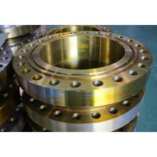 Alloy Steel Forged RTJ Flanges