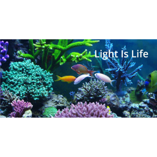 Luz de acuario Full Spectrum LED con carcasa de hierro