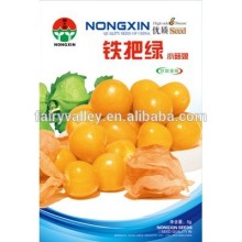 Chinese Physalis Pubescens Seeds Groundcherry Seeds For Growing-Golden