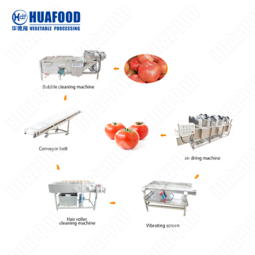 Industrial Fresh Vegetable and Fruit Cleaning Drying Machinery - Dry Dates Washing Machine for Sale
