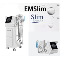Cryo Non-invasive EMS Muscle Building Slimming Equipment