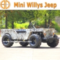 Bode-Mini Jeep Atv für Ebay Verkauf