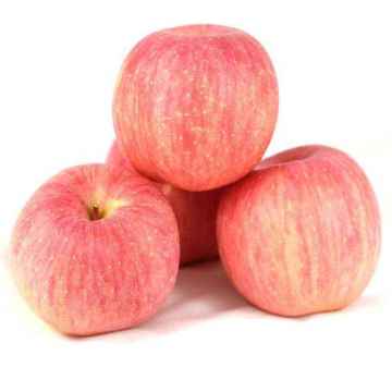 EXPORTING RED COLOR FUJI APPLES