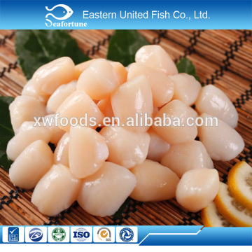wild IQF frozen boiled scallop meat iqf