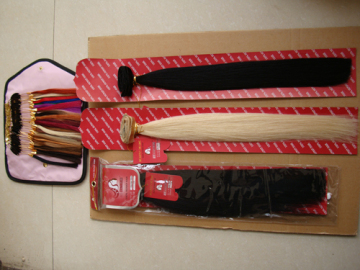 Remy Hair Weft Extension (WHH-STW--015)