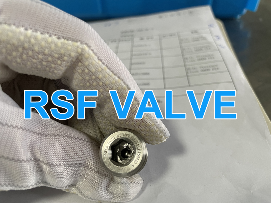 Ball Valve Fitting S31254 Check 1 Rsf Valve Jpg