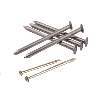 Wholesale High Quality Galvanized Common Nails for Brazil Market