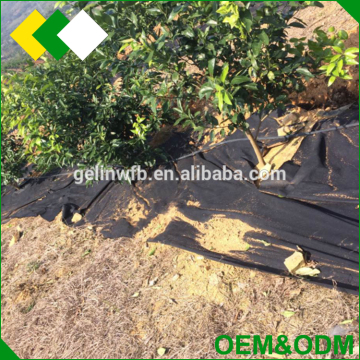 OEM&ODM wholesale PP spunbond crop plant spunlace agriculture fabric nonwoven crop cover