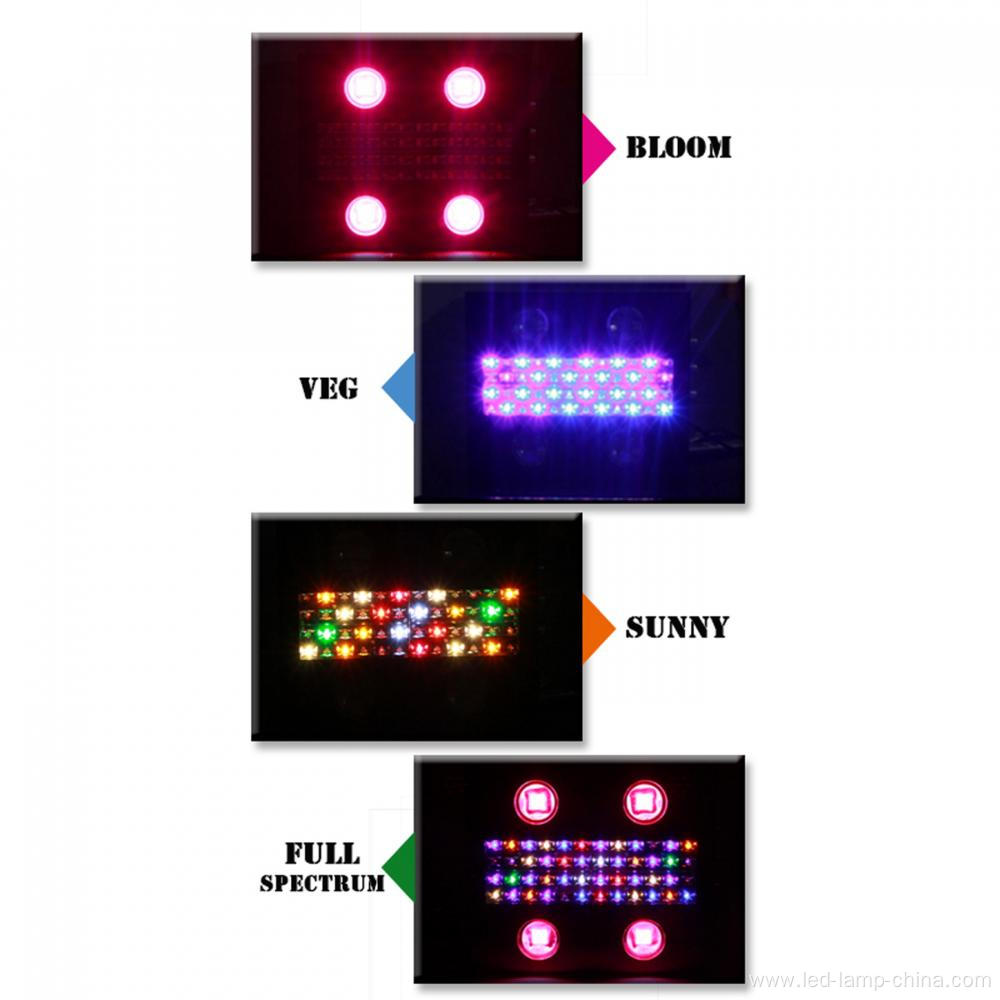 High Efficient 600W LED Grow Light Plant