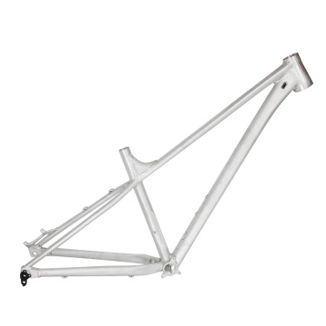 Ultra-light mountain bike frame