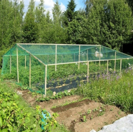 Verde de malha de controle de pássaro de malha de plástico PEAD