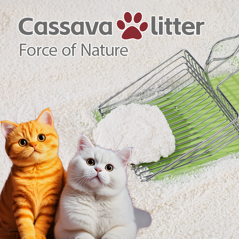 Camada de gato de yuca Cassava cat litter