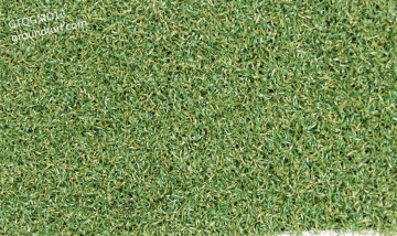 synthetic grass putting greens