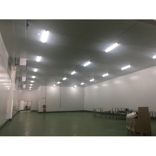 2ft 20w LED-Röhrenlicht