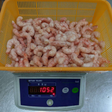 Red Cheery Shrimp Prices For Frozen Prawns Shrimp Seafood