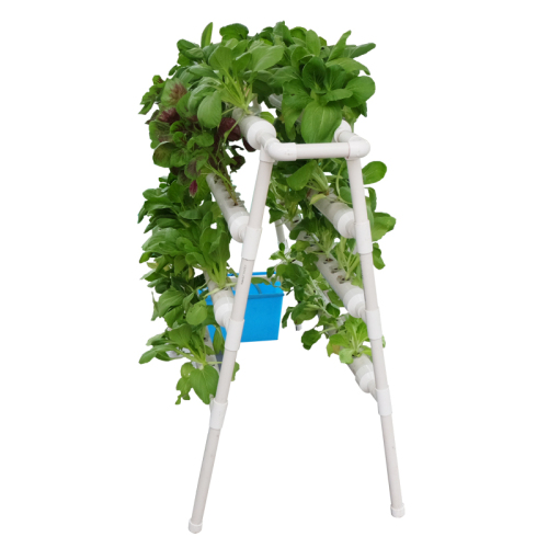 Ny typ inomhus hydroponic kit växer