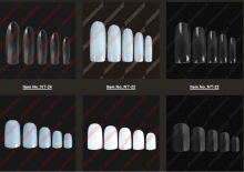 wholesale--500pcs French Nail Tips 10 Different Size White French False Nail #1172