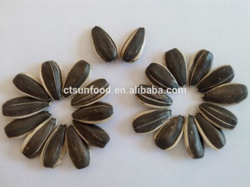 cheap sunflower seeds hulled sunflower seeds sunflower seed ton price