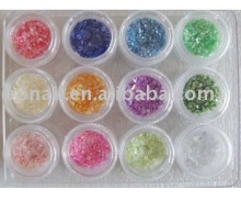 Nail Art Shell Powder Set