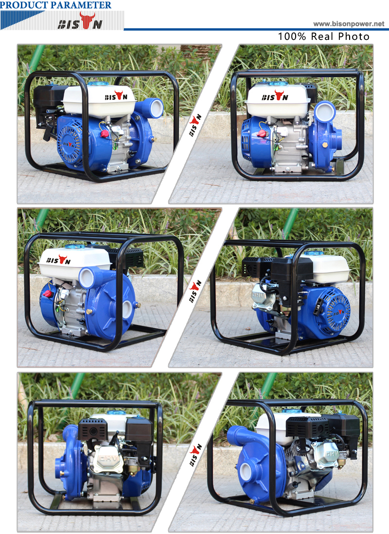 BISON China BS20i 2 Inch Iron Gasoline Engine Water Pump With Factory