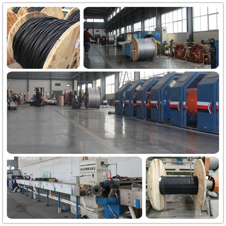 2 phase core flat cable concentric conductor cable XLPE insulated wire cable price list