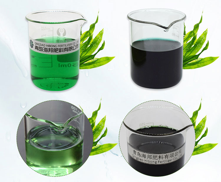 Seaweed Agro Liquid Fertilizers, Liquid Kinds of Organic Seaweed Foliar Fertilizer